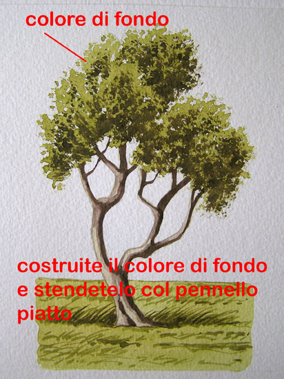 corso di disegno naturalistico 7 lezione